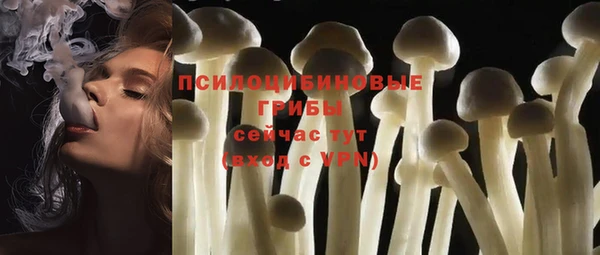 гидра Строитель