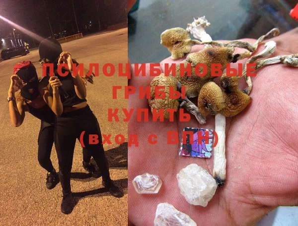 кокс Богданович