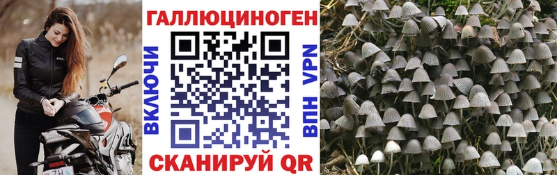 Галлюциногенные грибы мицелий  купить наркотики цена  площадка как зайти  Краснокаменск 